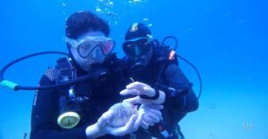 Lire la suite à propos de l’article Madère – Portugal